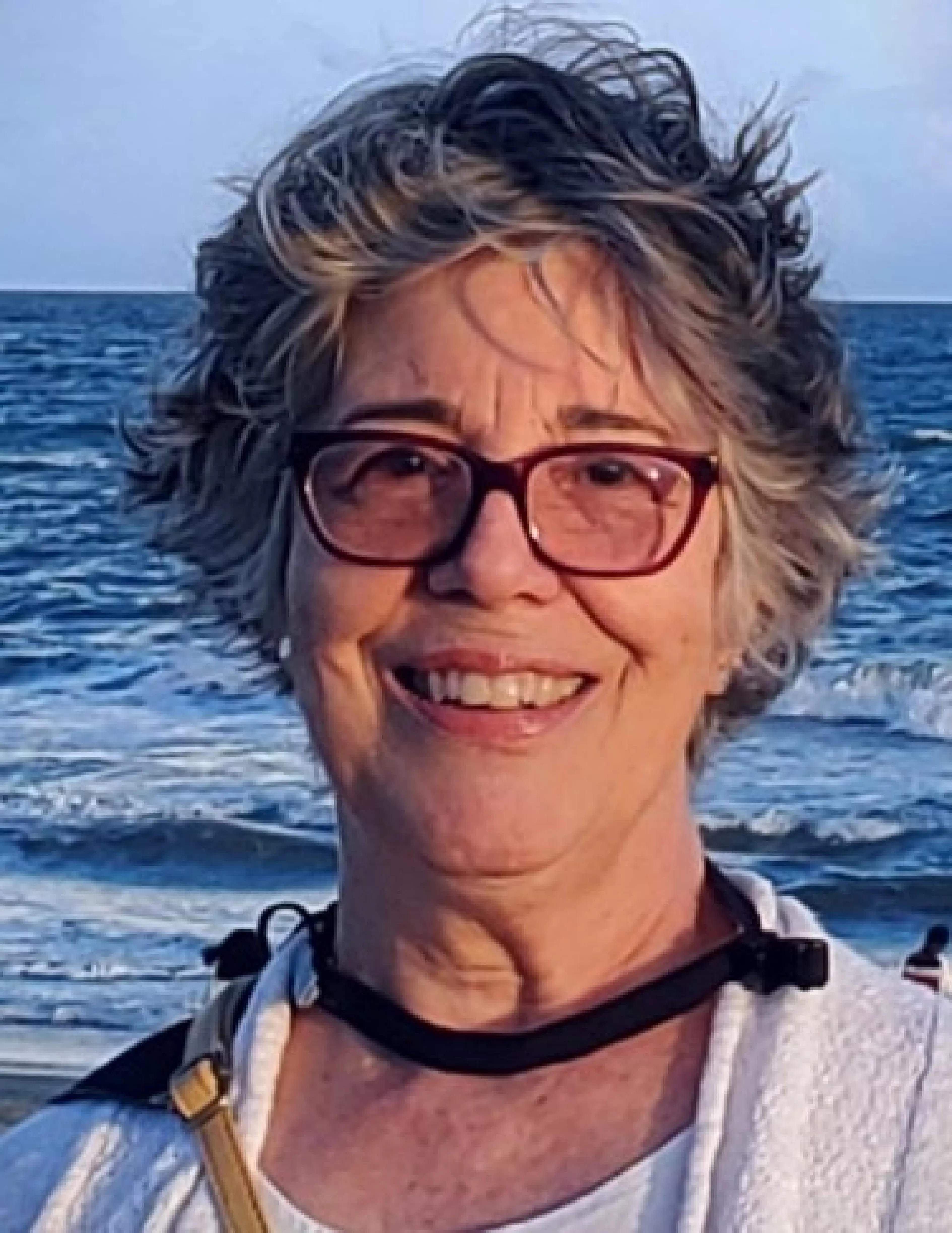 Suzanne Campbell Lowe