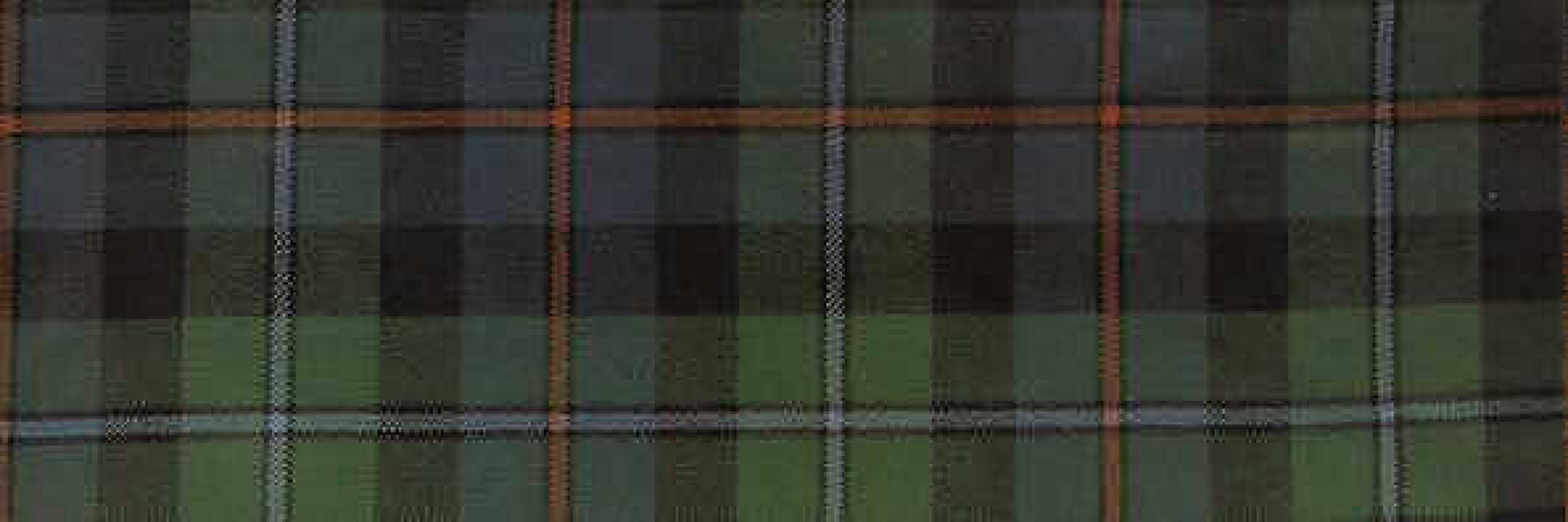 Campbell-of-Cawdor-Tartan-1.jpg